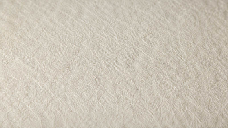 What Is German Etching Paper, and Why Does It Matter for Limited Editions?